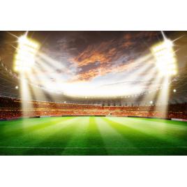 Fototapet autocolant PVC 70x120 cm Pe stadion