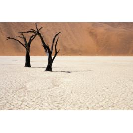 Fototapet autoadeziv 70x120 cm Peisaj 523