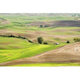 Fototapet autoadeziv 70x120 cm Peisaj 525