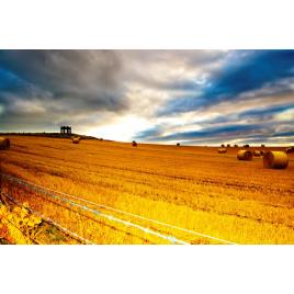 Fototapet autoadeziv 70x120 cm Peisaj 666