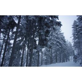 Fototapet autoadeziv Peisaj 117, 70x120 cm