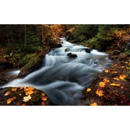 Fototapet autoadeziv Peisaj 499, 70x120 cm