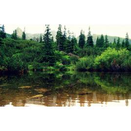 Fototapet autoadeziv Peisaj 81, 70x120 cm