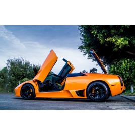 Fototapet autoadeziv 70x120 cm, Auto model 292
