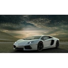 Fototapet autoadeziv 70x120 cm, Auto model 395