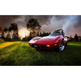 Fototapet autoadeziv 70x120 cm, Auto model 95