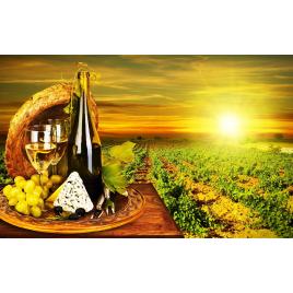 Fototapet autoadeziv 70x120 cm, Drinks and food model 176