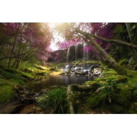 Fototapet autocolant PVC 75x100 cm Cascada model 49