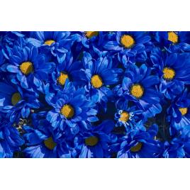 Fototapet autocolant PVC 75x100 cm Covorul de flori model 5