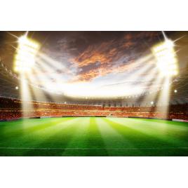 Fototapet autocolant PVC 75x100 cm Pe stadion