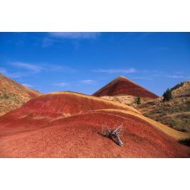 Fototapet autocolant PVC 75x100 cm Stancile rosii