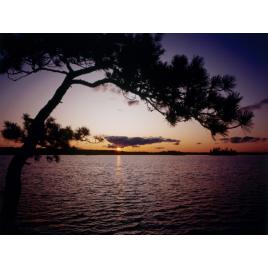 Fototapet autoadeziv 75x100 cm Peisaj 533
