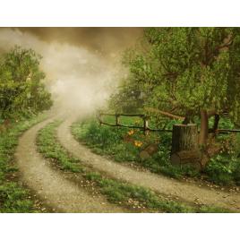 Fototapet autoadeziv 75x100 cm Peisaj 614
