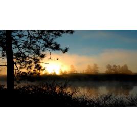 Fototapet autoadeziv 75x100 cm Peisaj 739