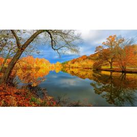 Fototapet autoadeziv 75x100 cm Peisaj 747