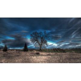 Fototapet autoadeziv 75x100 cm Peisaj 822