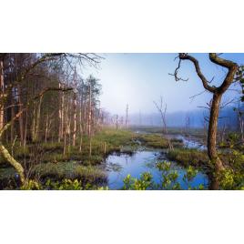 Fototapet autoadeziv 75x100 cm Peisaj 865