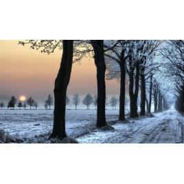 Fototapet autoadeziv 75x100 cm Peisaj 870