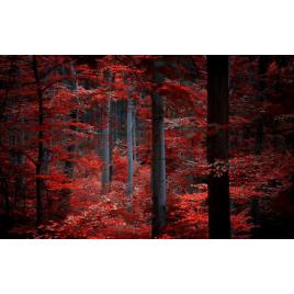 Fototapet autoadeziv Peisaj 191, 75x100 cm