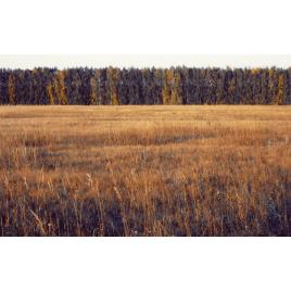 Fototapet autoadeziv Peisaj 194, 75x100 cm