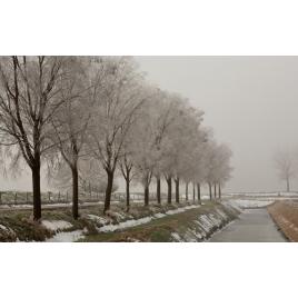 Fototapet autoadeziv Peisaj 209, 75x100 cm