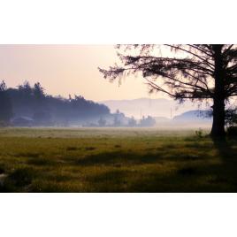 Fototapet autoadeziv Peisaj 24, 75x100 cm
