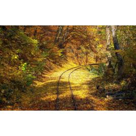 Fototapet autoadeziv Peisaj 27, 75x100 cm