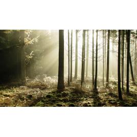 Fototapet autoadeziv Peisaj 314, 75x100 cm