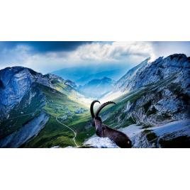 Fototapet autoadeziv Peisaj 325, 75x100 cm