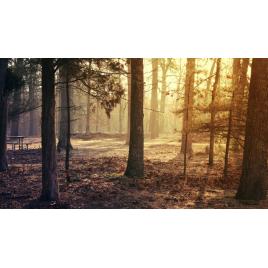 Fototapet autoadeziv Peisaj 337, 75x100 cm