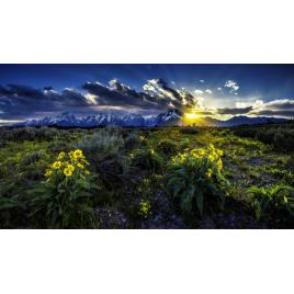 Fototapet autoadeziv Peisaj 45, 75x100 cm
