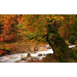 Fototapet autoadeziv Peisaj 46, 75x100 cm