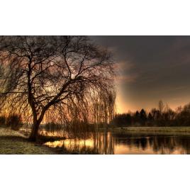 Fototapet autoadeziv Peisaj 489, 75x100 cm