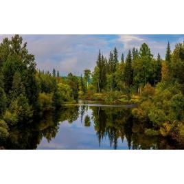 Fototapet autoadeziv Peisaj 50, 75x100 cm