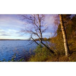 Fototapet autoadeziv Peisaj 57, 75x100 cm