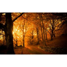 Fototapet autoadeziv Peisaj 59, 75x100 cm