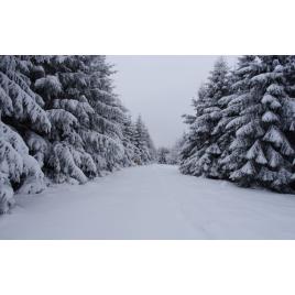 Fototapet autoadeziv Peisaj 80, 75x100 cm