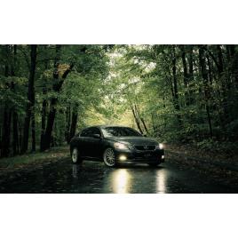 Fototapet autoadeziv 75x100 cm, Auto model 110