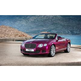 Fototapet autoadeziv 75x100 cm, Auto model 159