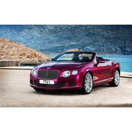 Fototapet autoadeziv 75x100 cm, Auto model 229
