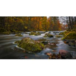 Fototapet autoadeziv 75x100 cm Peisaj 970