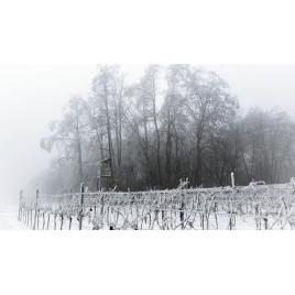 Fototapet autoadeziv 75x100 cm Peisaj 985