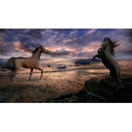 Fototapet autoadeziv Caii din cerul innorat, 75x100 cm