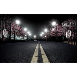 Fototapet autoadeziv Drumul din noapte, 75x100 cm