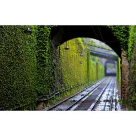 Fototapet autoadeziv Peisaje Urban 72, 75x100 cm