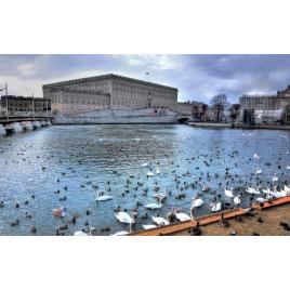 Fototapet autoadeziv Peisaje Urban 87, 75x100 cm