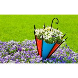 Fototapet autoadeziv Umbrela cu flori, 75x100 cm