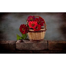 Fototapet autoadeziv Zidul cu flori, 75x100 cm