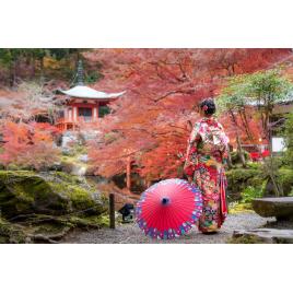 Fototapet autocolant PVC Gradina japoneza, 160x240 cm