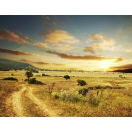 Fototapet autoadeziv PVC 160x240 cm Peisaj 2